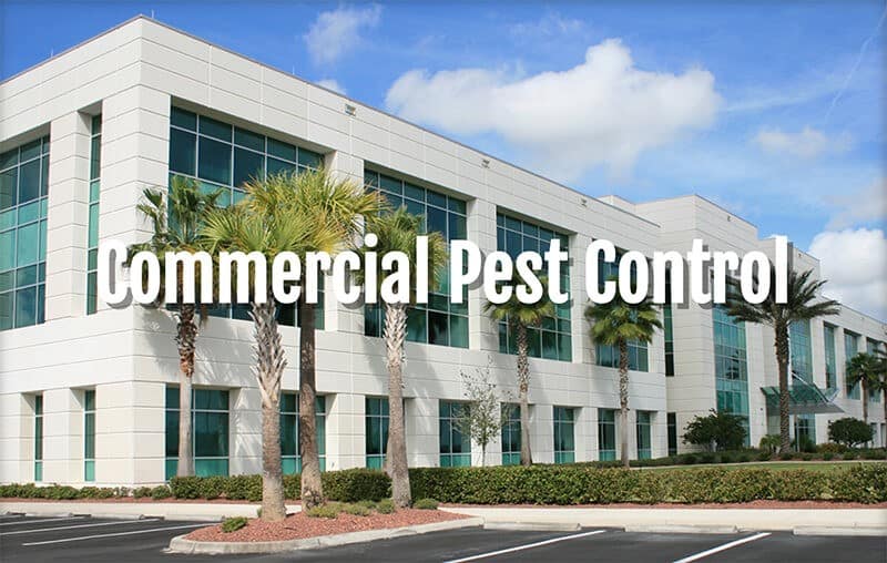 Commercial Pest Control | Tri-X Pest Management