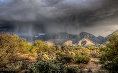 Monsoon Season and the Effect on Pests