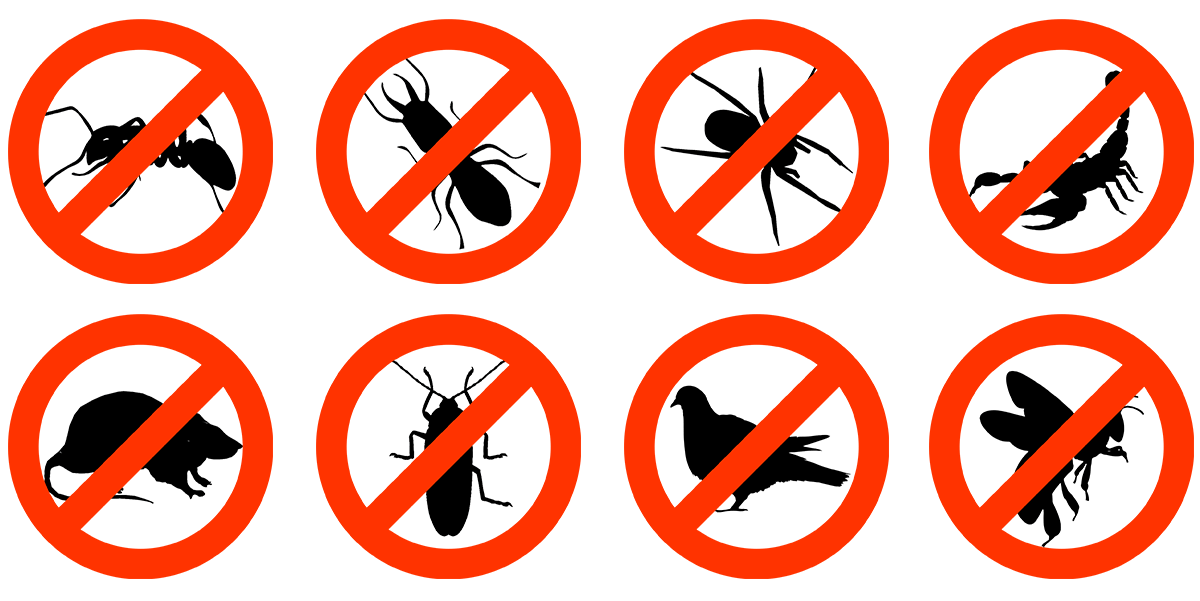 Pest Control Offer 50% Off First Service | Tri-X Pest Management